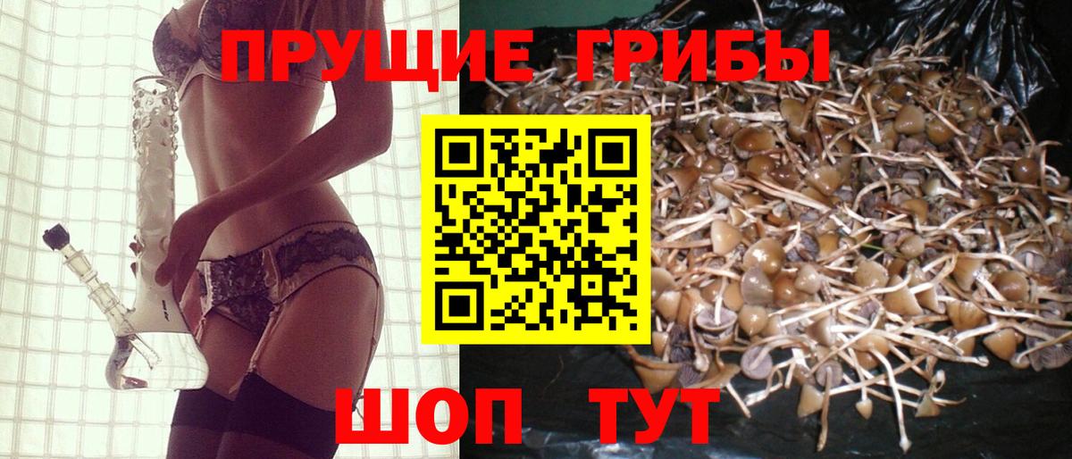 Псилоцибиновые грибы мухоморы  Вход с VPN  Коркино 