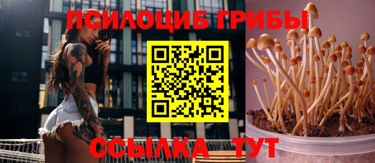 Галлюциногенные грибы Magic Shrooms Коркино